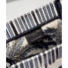Dior Book Tote Blue