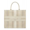 Dior Book Tote Apricot