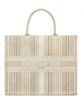 Dior Book Tote Apricot