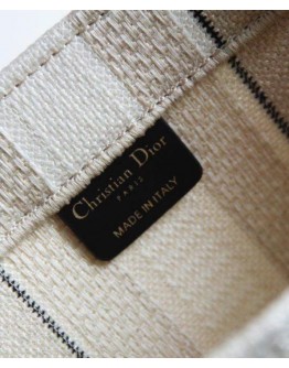 Dior Book Tote Apricot