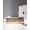 Dior Book Tote bag Apricot