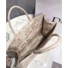 Dior Book Tote bag Apricot