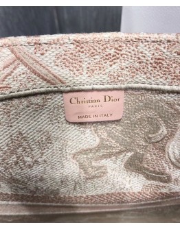 Dior Book Tote bag Apricot