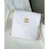 C-C Small Hobo Bag AS2503
