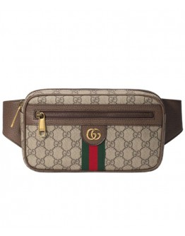 Gucci Ophidia GG belt bag 574796 Dark Coffee