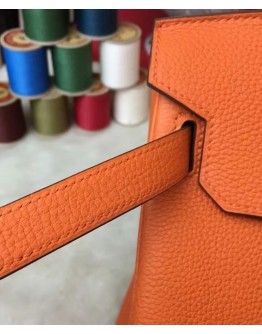 Hermes Birkin 35 Bag Togo Leather