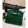 Hermes Birkin 25 Crocodile leather Green