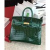 Hermes Birkin 25 Crocodile leather Green