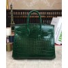 Hermes Birkin 25 Crocodile leather Green