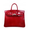 Hermes Birkin 25 Crocodile leather Red