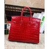 Hermes Birkin 25 Crocodile leather Red