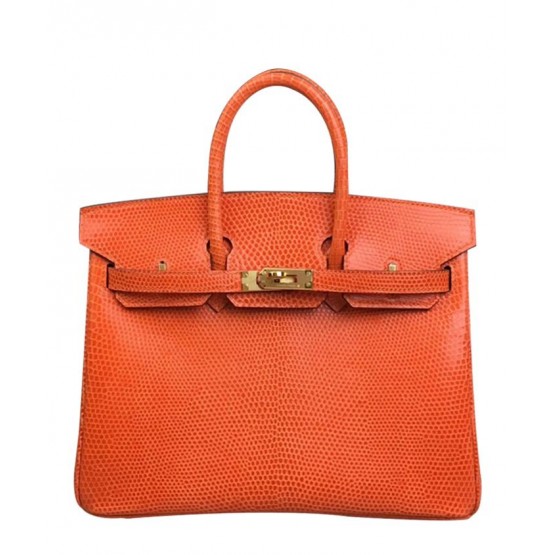 Hermes Birkin 25 Lizard leather