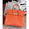 Hermes Birkin 25 Lizard leather