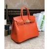 Hermes Birkin 25 Lizard leather