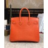 Hermes Birkin 25 Lizard leather