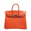Hermes Birkin 25 Lizard leather Orange