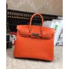 Hermes Birkin 25 Lizard leather Orange