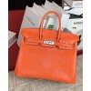 Hermes Birkin 25 Lizard leather Orange