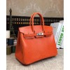 Hermes Birkin 25 Lizard leather Orange
