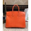 Hermes Birkin 25 Lizard leather Orange