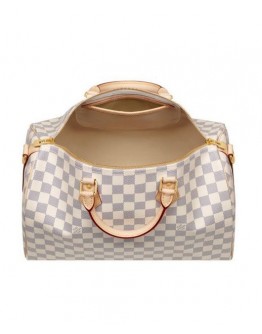 Louis Vuitton Damier Speedy N41000 White