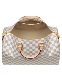 Louis Vuitton Damier Speedy N41002 White