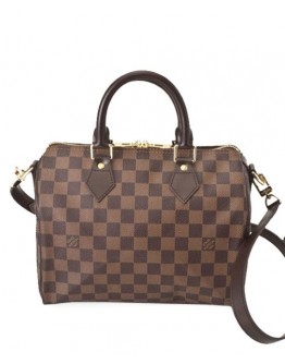 Louis Vuitton Damier Speedy N41181 Brown
