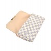 Louis Vuitton Damier Eva Clutch N41275 White