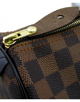 Louis Vuitton Damier Speed N41523 Brown