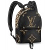 Louis Vuitton Palm Springs PM M44718 Black