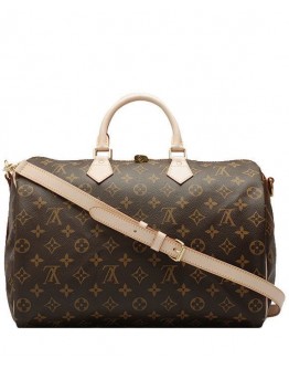Louis Vuitton monogram speedy M40393 Brown