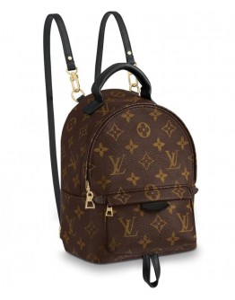 Louis Vuitton Monogram Palm Springs Backpack Mini Bag M41562 Brown