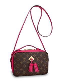 Louis Vuitton Saintonge M43555 M43557 M43559