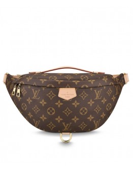 Louis Vuitton Bumbag M43644 Brown