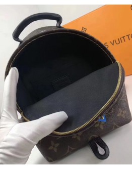 Louis Vuitton Palm Springs backpack M44367 Brown