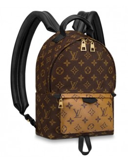 Louis Vuitton Palm Springs Pm M44870 Brown