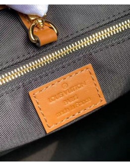 Louis Vuitton Hobo Dauphine PM M45194 Brown