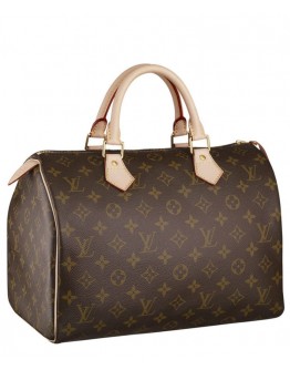 Louis Vuitton Speedy M41526 Brown