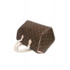 Louis Vuitton Speedy M41526 Brown