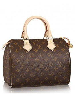 Louis Vuitton Speedy M41528 Brown