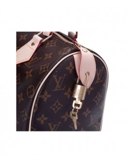 Louis Vuitton Speedy M41528 Brown
