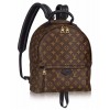 Louis vuitton Palm Springs Backpack PM M41560 Black