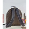 Louis vuitton Palm Springs Backpack PM M41560 Black