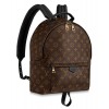 Louis vuitton Palm Springs Backpack MM M41561 Black