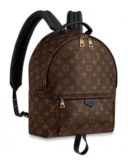 Louis vuitton Palm Springs Backpack MM M41561 Black