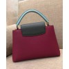 Louis Vuitton Capucines PM M51779 M52988