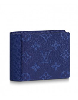 Louis Vuitton Multiple Wallet M30299