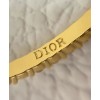 Dior C Earrings Golden