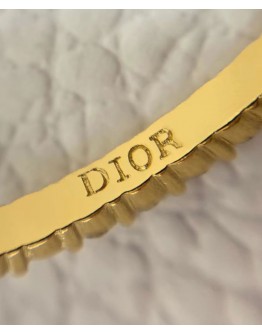 Dior C Earrings Golden
