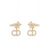 Dior Clair D Lune Earrings Golden